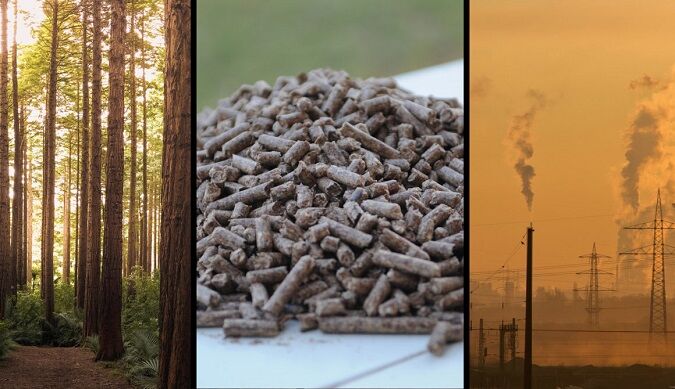 Biomassa: brandstof voor de energietransitie?