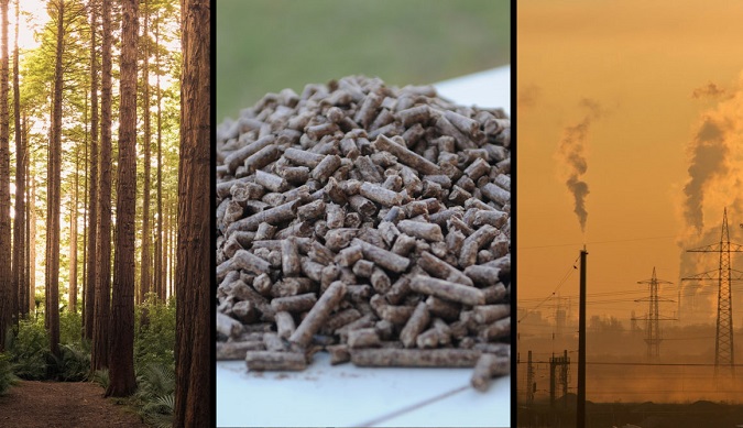 Biomassa: brandstof voor de energietransitie?